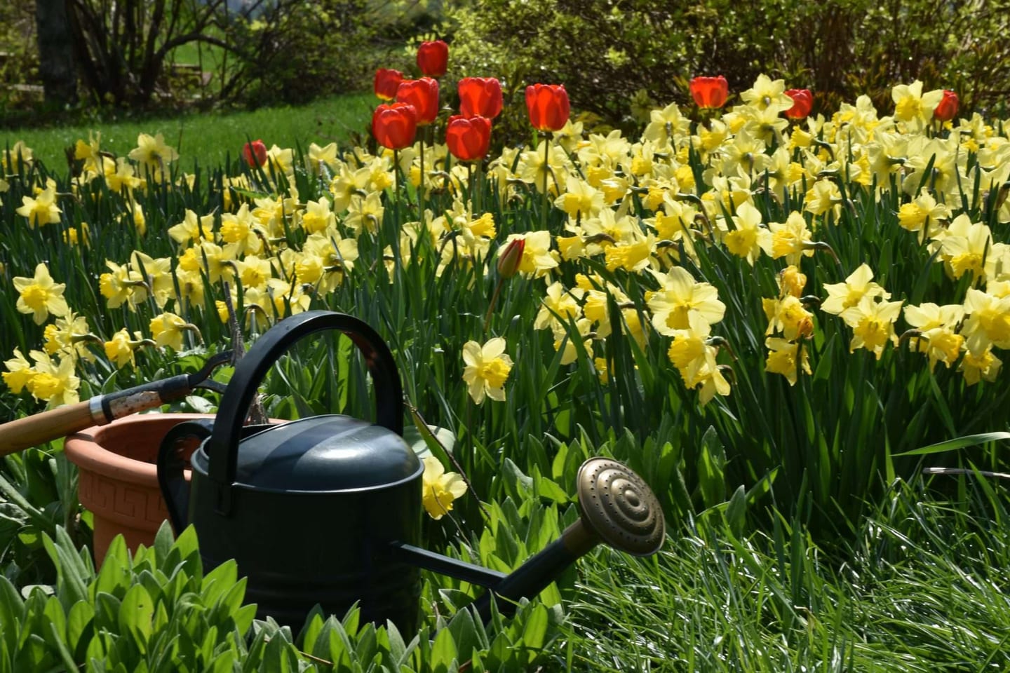 watering garden for proper outdoor space maintaining