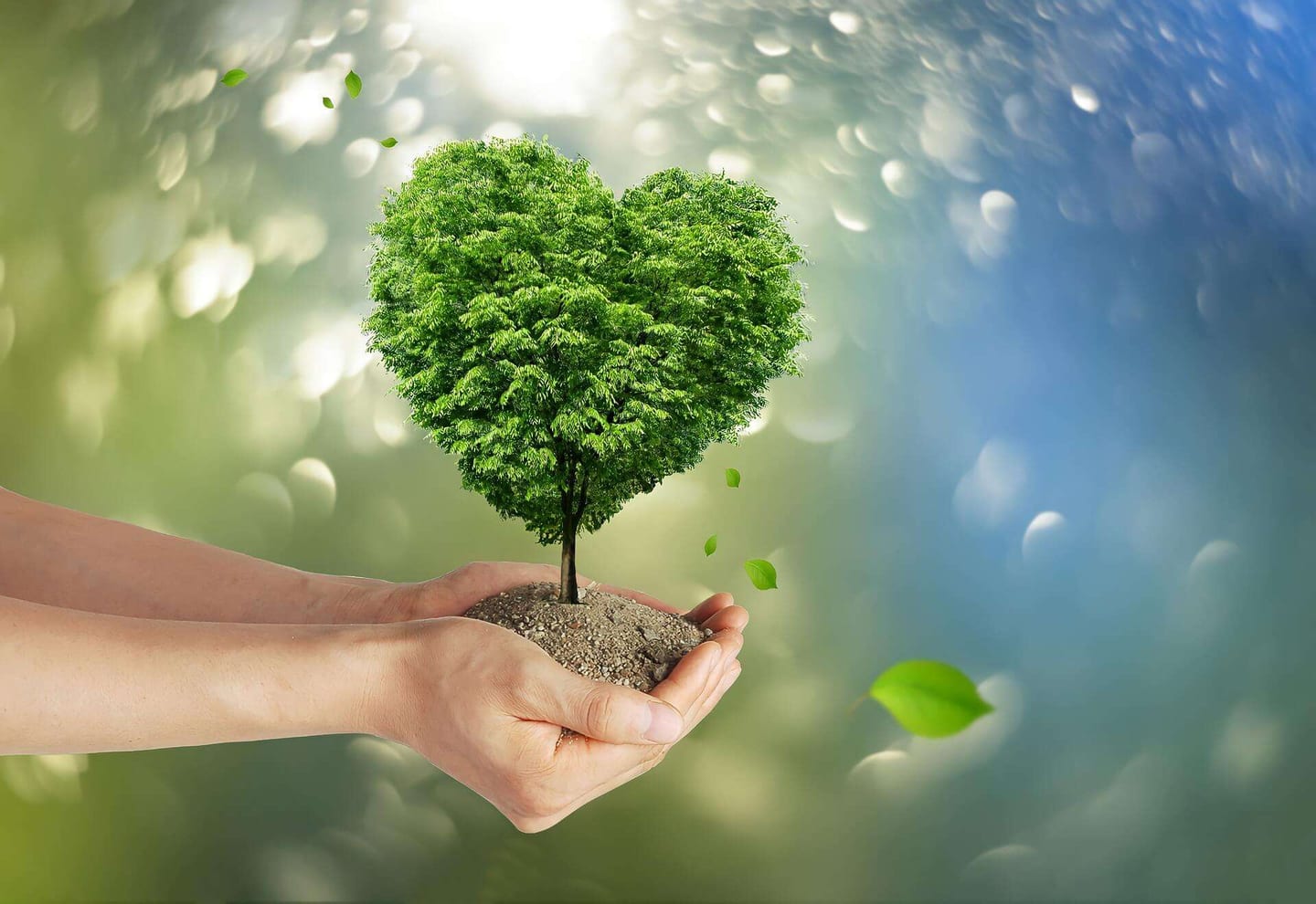 Earth Week 2023 Sustainable Cleaning Practices