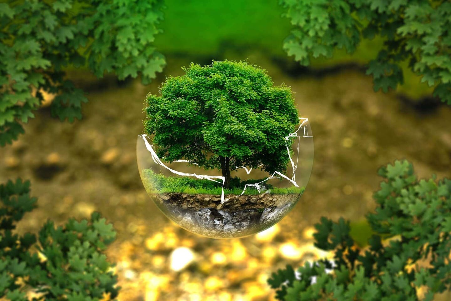 Green cleaning refers to the use of eco-friendly cleaning products and sustainable cleaning practices that are designed to minimize harm to the environment and human health