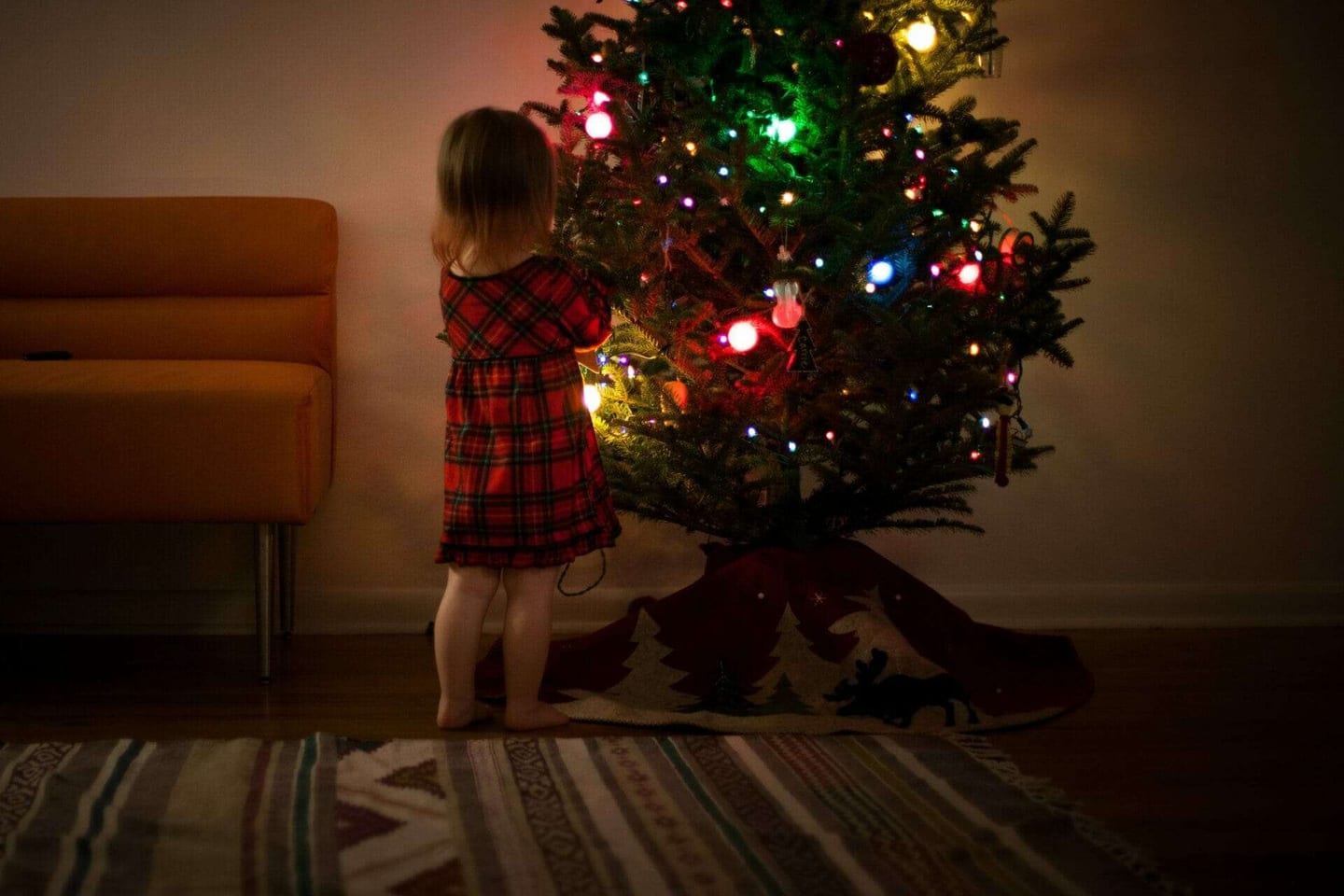 Holiday Carpet Cleaning