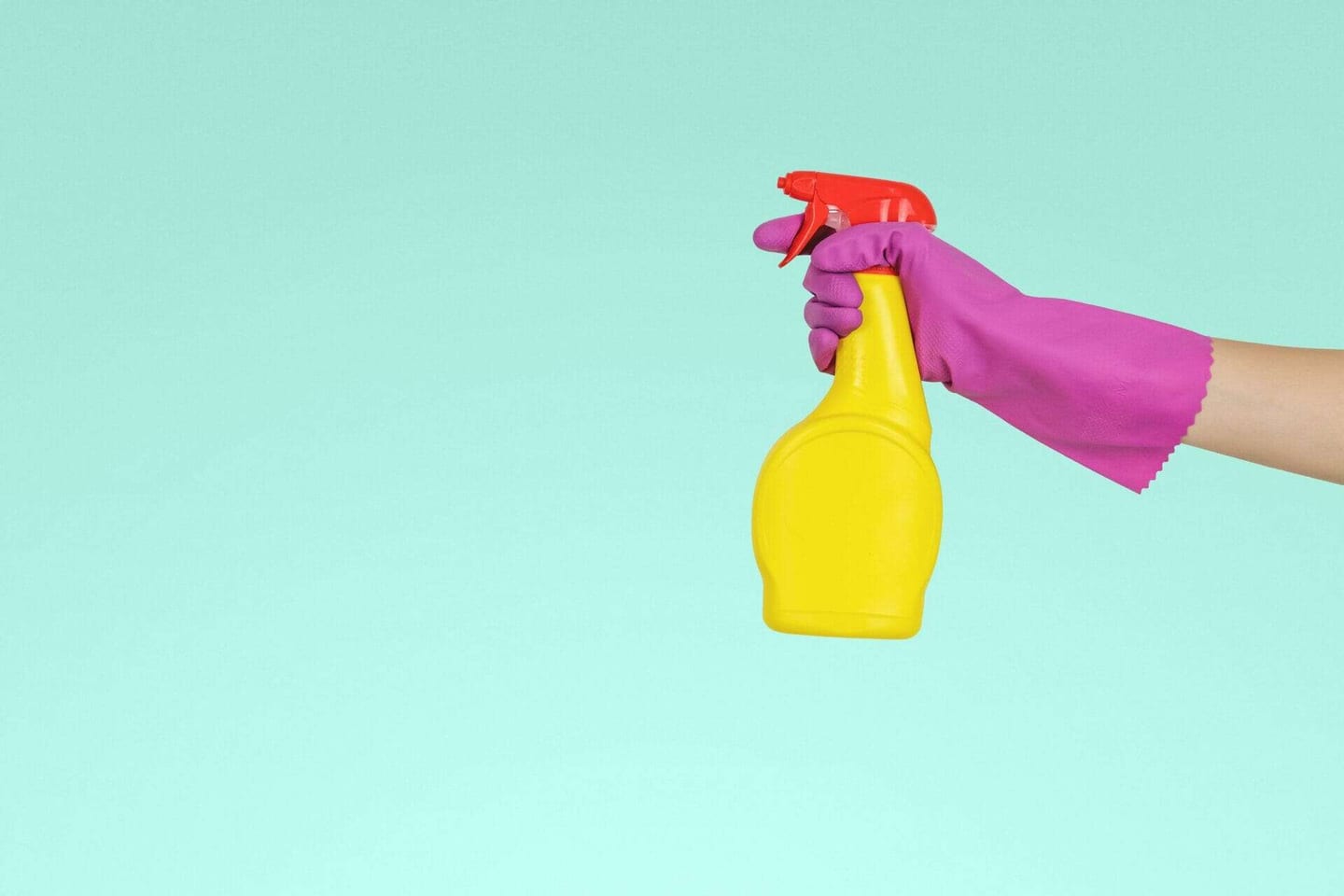 Top 5 things you MUST clean daily to keep your house immaculate