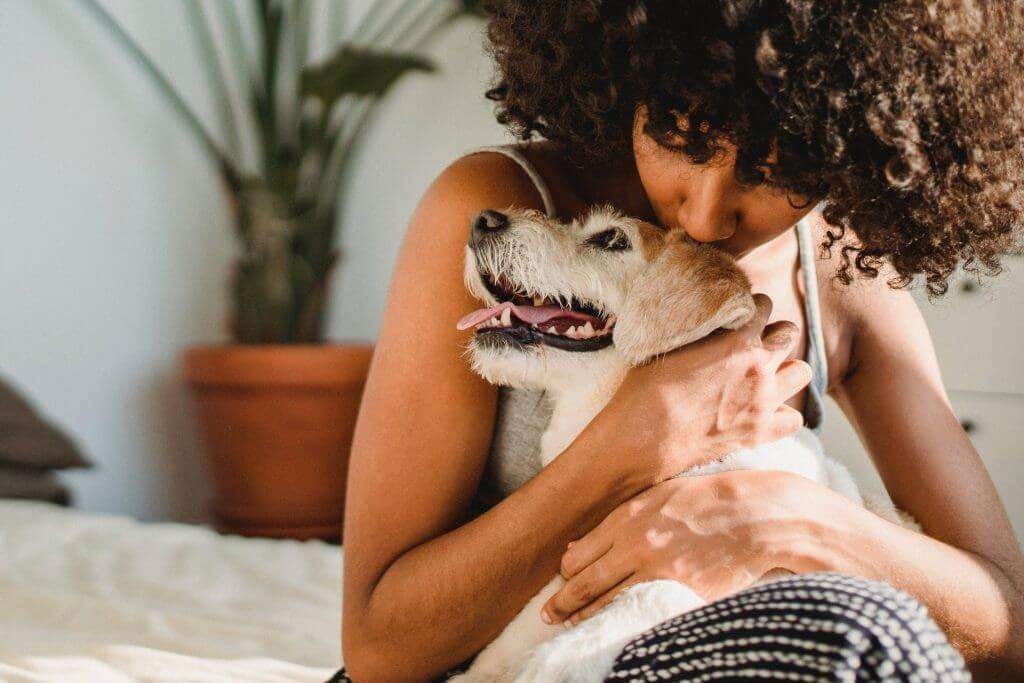 Washing dog bedding is beneficial for your dog's and your family's overall health