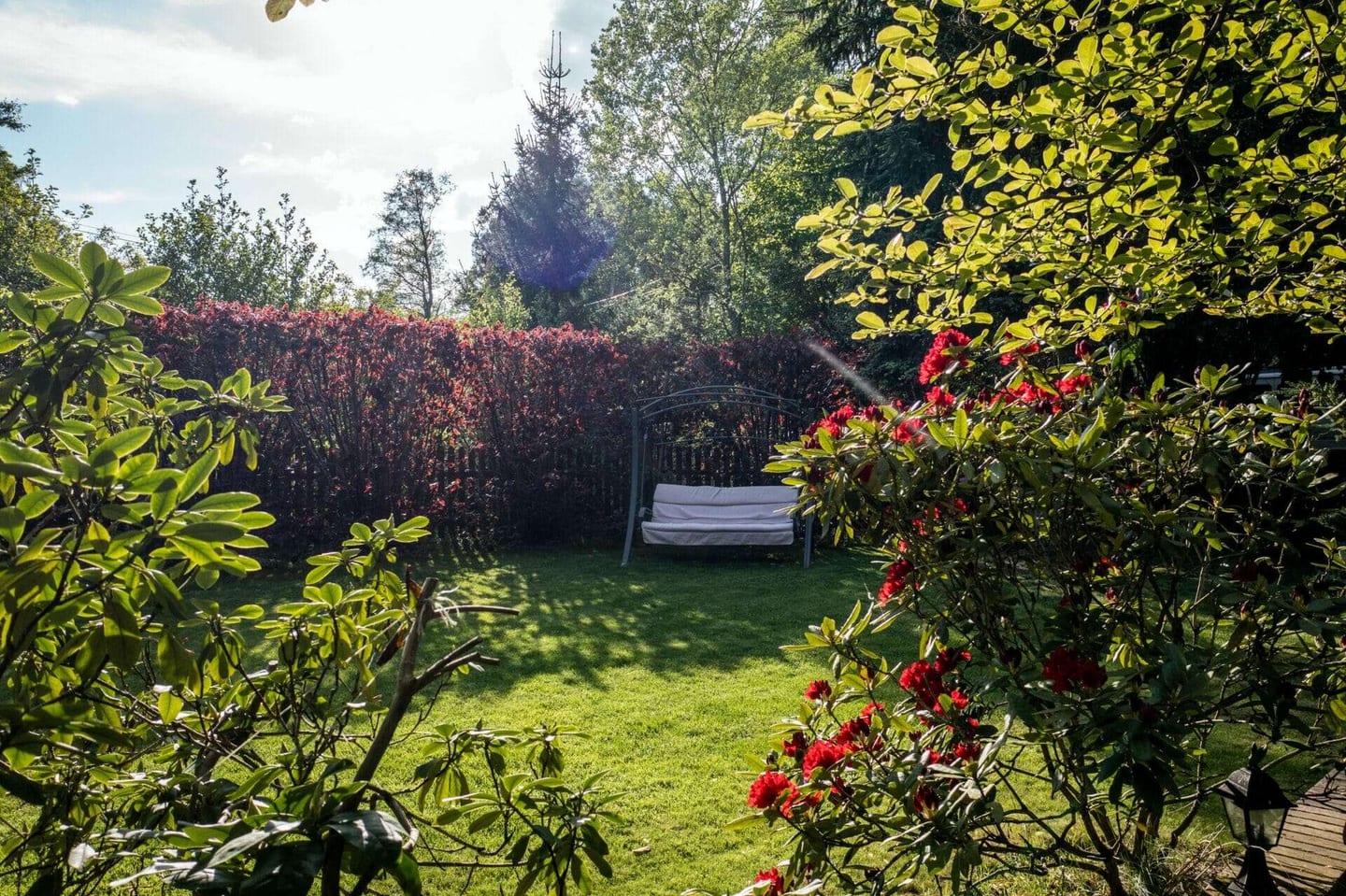 easy tips to clean your garden